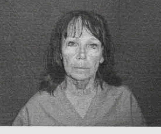 Sullivan County Woman Charged with Attempted Murder | WSLM RADIO